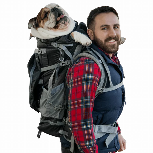 "Kolossus K9 Expedition Pack: The Ultimate Big Dog Carrier and Backpacking Adventure Companion"
